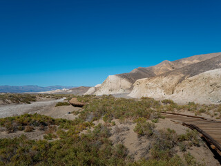 Salt Creek boardwalk trial in Death Valley National Park.