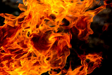 Flames of fire on a background of nature. Fire close-up. Forest fires, burning trees. Firewood by the fireplace.