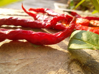 red chili pepper