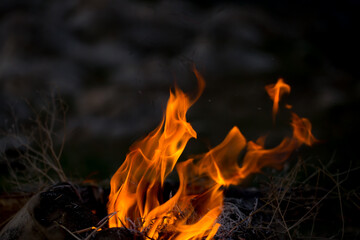 Flame of fire on black background. Fire close-up. Forest fires, burning trees. Firewood by the fireplace.