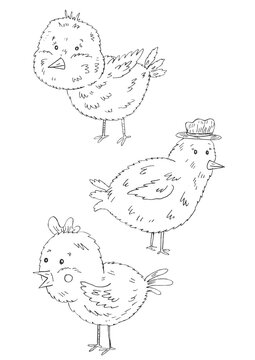 Lovely chickens. Set. Coloring. Black and white digital illustration. Cute illustration for the decor and design of posters, postcards, prints, stickers, invitations, textiles and stationery.