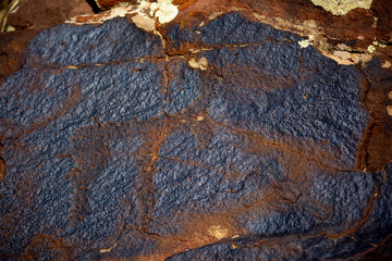 Petroglyphs on the rocks in Kazakhstan. The ancient parking cave man. Historical cave paintings. Carved on stone images of deer, goats and wolves. The development of ancient peoples.