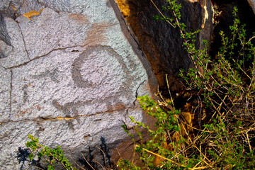 Petroglyphs on the rocks in Kazakhstan. The ancient parking cave man. Historical cave paintings. Carved on stone images of deer, goats and wolves. The development of ancient peoples.
