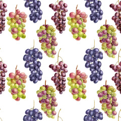 grape drawing in watercolor