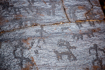 Petroglyphs on the rocks in Kazakhstan. The ancient parking cave man. Historical cave paintings. Carved on stone images of deer, goats and wolves. The development of ancient peoples.
