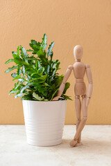 Wooden mannequin with houseplant on color background