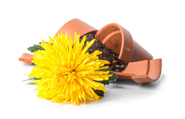Broken flower pot on white background