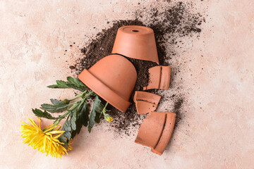 Broken flower pot on color background