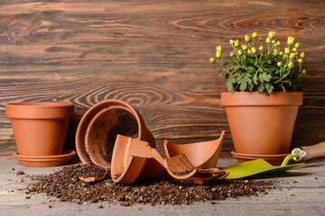 Broken flower pot and gardening tools on wooden background