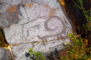 Petroglyphs on the rocks in Kazakhstan. The ancient parking cave man. Historical cave paintings. Carved on stone images of deer, goats and wolves. The development of ancient peoples.