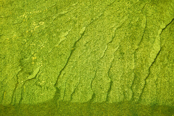 Stone texture with green moss. Beautiful green moss texture abstract wall background, ribbed...
