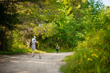 family walks on a road in the woods, selective focus