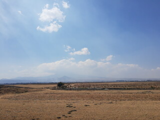 landscape with a field