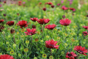 Winter to Spring transition 