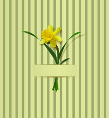 illustration of a daffodil flower