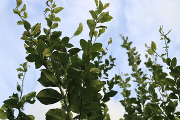 Winter to Spring transition 