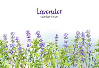 Lavender and green Verbena, field seamless border