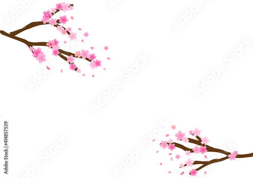 桜 木 春 花びら 花吹雪 桜吹雪 素材 背景 壁紙 フレーム Wall Mural Ontamaudon