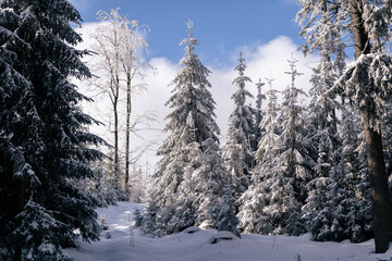 Idylische Winterszene im Naturpark Steinwald