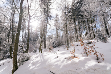 Idylische Winterszene im Naturpark Steinwald