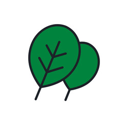 Obraz premium Spinach icon. Linear color icon, contour, shape, outline isolated on white. Thin line. Modern design. Vector illustrations of vegetables.