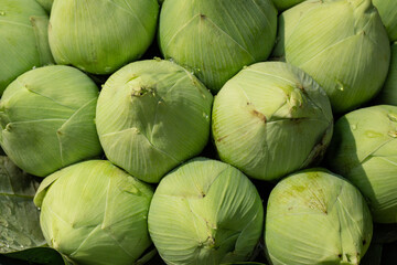 a group of green fresh lotus for sale in market.