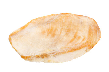 Chicken fried fillet meat