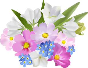 Bouquet of wild and garden flowers 