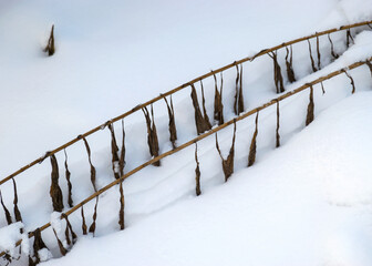 abstract snow texture, snow and frozen grass, shadows on the snow