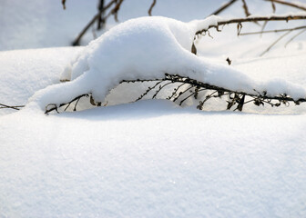 abstract snow texture, snow and frozen grass, shadows on the snow