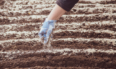 The girl sows seeds in the ground