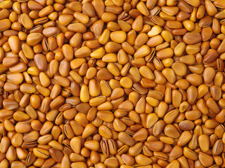 Boiled pig's organs on white background 