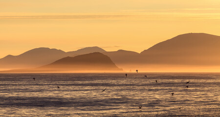 Obraz premium Picturesque arctic seascape. Mountains on the sea coast. Beautiful golden lighting at sunrise. Provideniya Bay, Bering Sea, Russian Far East. The nature of Chukotka and Siberia. Travel and sea cruises