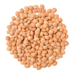 Dry apricot nut on white background