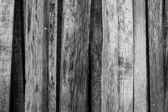 Black and white photo of a wooden background. Texture of an old wood up close. Wooden background. 