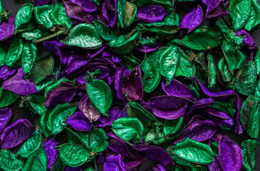 The petals are purple and green.