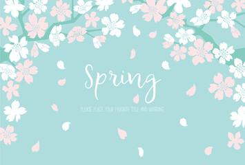 シンプルな満開の桜の背景素材 © TAKAO