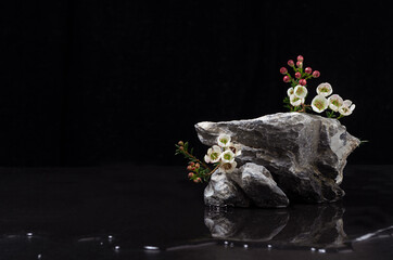 Rough natural grey stone podium with white tiny flowers as japan bonsai at spring night for...