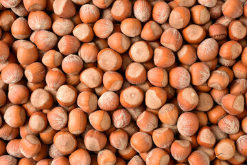 background of hazelnuts