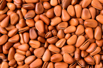 Pine nut background