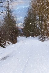 Snowy road between trees. Endless snowstorms can interrupt traffic. It snows and freezes a lot. The road are covered with snow and frost.