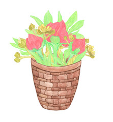 Watercolor hand drawn basket with summer red flowers, linden and leaves