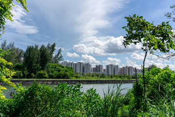 view of Singapore Public Housing Apartments in Punggol District, Singapore. Housing Development Board(HDB), View from the park with green grass field and lake