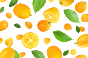Fresh ripe kumquat fruits falling on white background