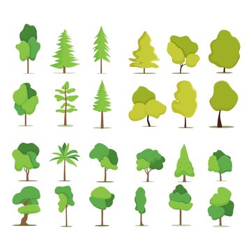 Collection of trees illustrations. Can be used to illustrate any nature or healthy lifestyle topic.