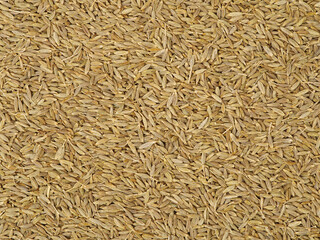 Cumin seeds texture, full frame background. Second most popular spice in the world after black pepper.