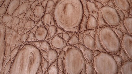Snake, crocodile or lizard skin. Real leather texture very close up. Natural pattern. Fashion and...