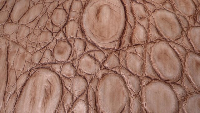 Snake, crocodile or lizard skin. Real leather texture very close up. Natural pattern. Fashion and clothing industry