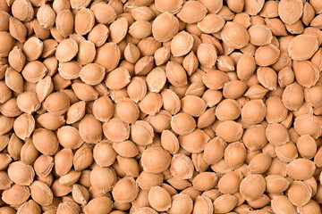 apricot kernel isolated on white background