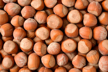 Hazelnuts background